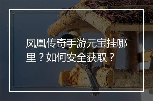 凤凰传奇手游元宝挂哪里？如何安全获取？