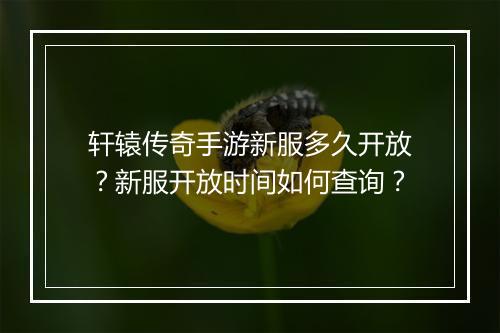 轩辕传奇手游新服多久开放？新服开放时间如何查询？
