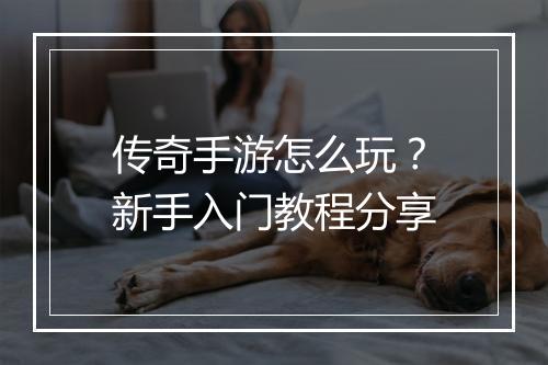 传奇手游怎么玩？新手入门教程分享