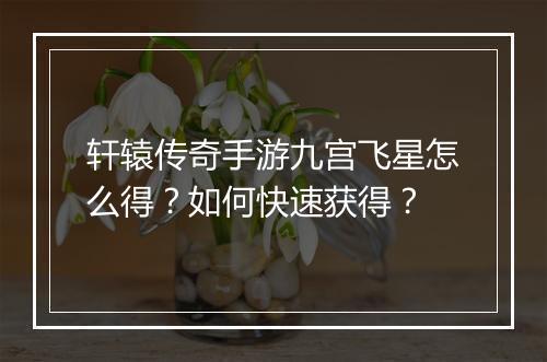 轩辕传奇手游九宫飞星怎么得？如何快速获得？
