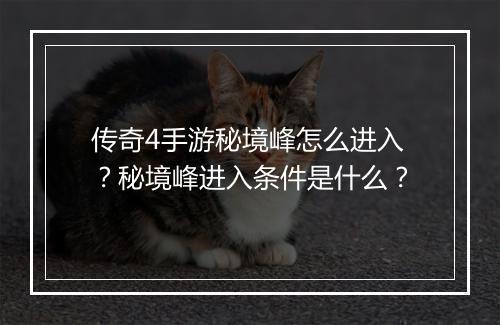 传奇4手游秘境峰怎么进入？秘境峰进入条件是什么？