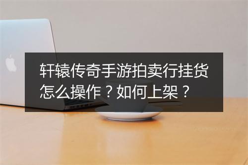 轩辕传奇手游拍卖行挂货怎么操作？如何上架？