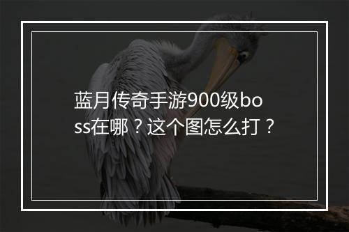 蓝月传奇手游900级boss在哪？这个图怎么打？
