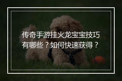 传奇手游挂火龙宝宝技巧有哪些？如何快速获得？
