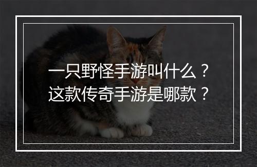 一只野怪手游叫什么？这款传奇手游是哪款？