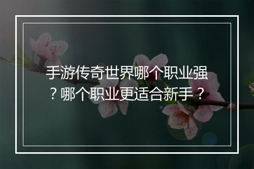手游传奇世界哪个职业强?哪个职业更适合新手?