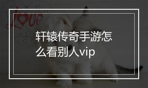轩辕传奇手游怎么看别人vip