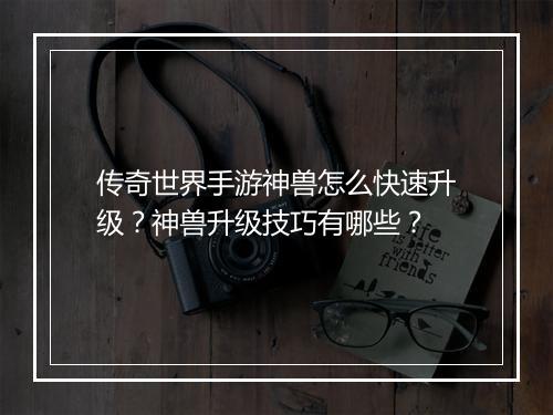 传奇世界手游神兽怎么快速升级？神兽升级技巧有哪些？