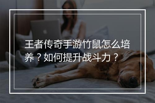 王者传奇手游竹鼠怎么培养？如何提升战斗力？