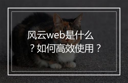 风云web是什么？如何高效使用？