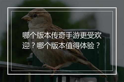 哪个版本传奇手游更受欢迎？哪个版本值得体验？