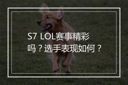 S7 LOL赛事精彩吗？选手表现如何？