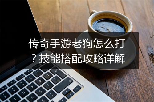 传奇手游老狗怎么打？技能搭配攻略详解