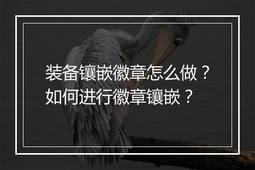 装备镶嵌徽章怎么做？如何进行徽章镶嵌？
