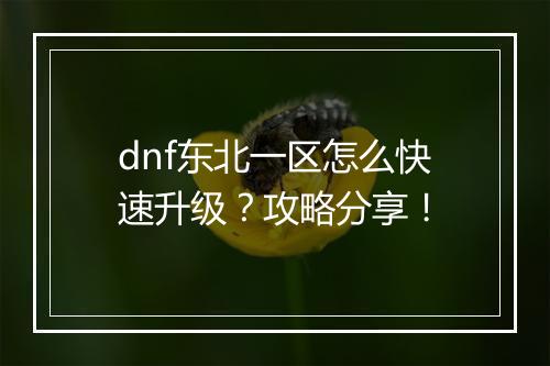 dnf东北一区怎么快速升级？攻略分享！
