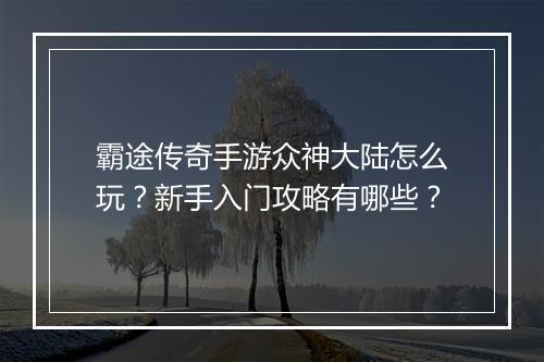 霸途传奇手游众神大陆怎么玩？新手入门攻略有哪些？