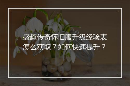 盛趣传奇怀旧服升级经验表怎么获取？如何快速提升？