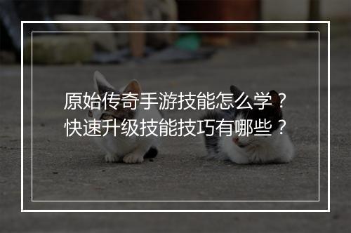 原始传奇手游技能怎么学？快速升级技能技巧有哪些？