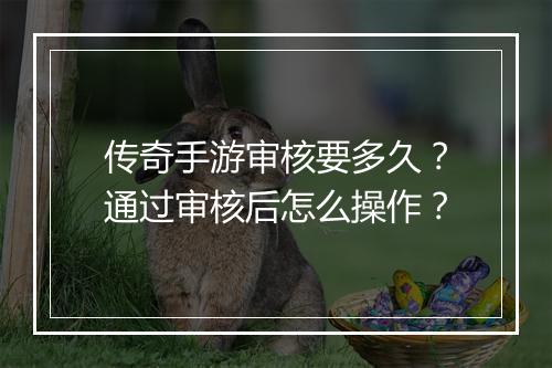传奇手游审核要多久？通过审核后怎么操作？
