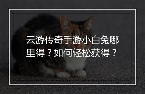 云游传奇手游小白兔哪里得？如何轻松获得？