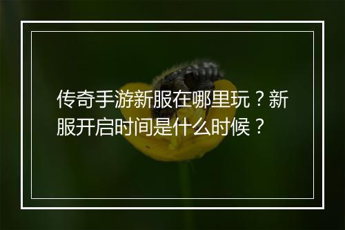 传奇手游新服在哪里玩？新服开启时间是什么时候？