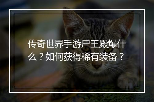 传奇世界手游尸王殿爆什么？如何获得稀有装备？
