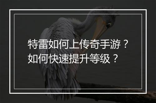 特雷如何上传奇手游？如何快速提升等级？