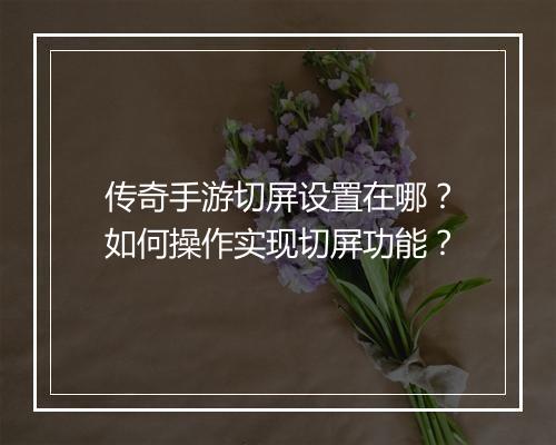 传奇手游切屏设置在哪？如何操作实现切屏功能？