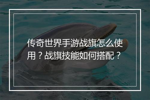 传奇世界手游战旗怎么使用？战旗技能如何搭配？