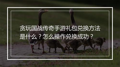 贪玩国战传奇手游礼包兑换方法是什么？怎么操作兑换成功？