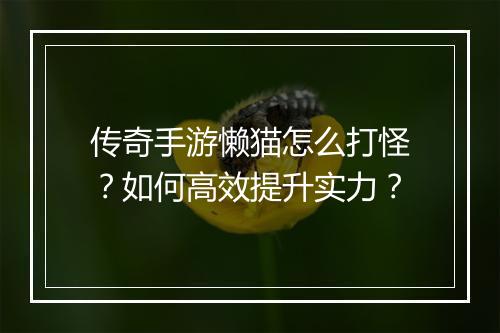 传奇手游懒猫怎么打怪？如何高效提升实力？