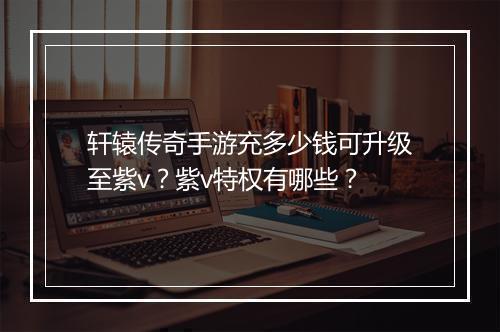 轩辕传奇手游充多少钱可升级至紫v？紫v特权有哪些？