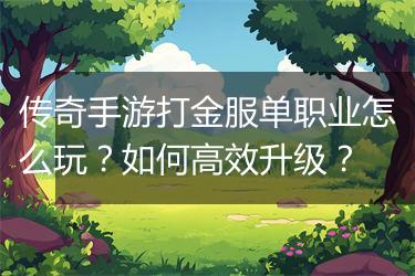 传奇手游打金服单职业怎么玩？如何高效升级？
