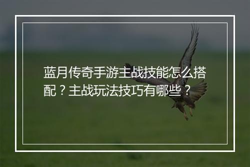 蓝月传奇手游主战技能怎么搭配？主战玩法技巧有哪些？