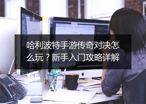 哈利波特手游传奇对决怎么玩？新手入门攻略详解