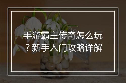 手游霸主传奇怎么玩？新手入门攻略详解