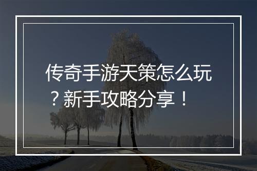 传奇手游天策怎么玩？新手攻略分享！