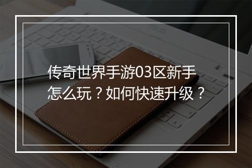 传奇世界手游03区新手怎么玩？如何快速升级？