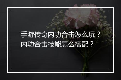 手游传奇内功合击怎么玩？内功合击技能怎么搭配？