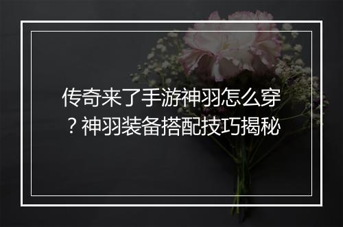 传奇来了手游神羽怎么穿？神羽装备搭配技巧揭秘
