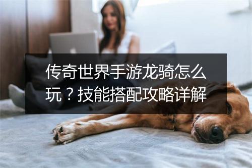传奇世界手游龙骑怎么玩？技能搭配攻略详解