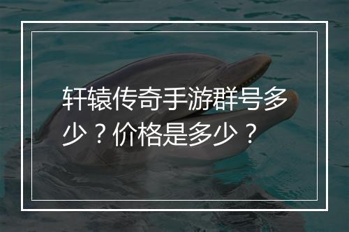 轩辕传奇手游群号多少？价格是多少？