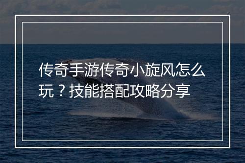 传奇手游传奇小旋风怎么玩？技能搭配攻略分享