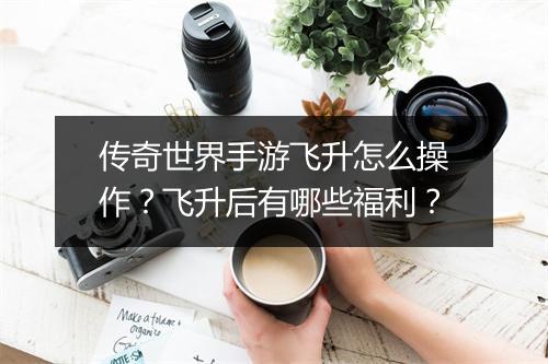传奇世界手游飞升怎么操作？飞升后有哪些福利？