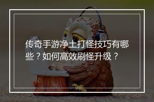 传奇手游净土打怪技巧有哪些？如何高效刷怪升级？