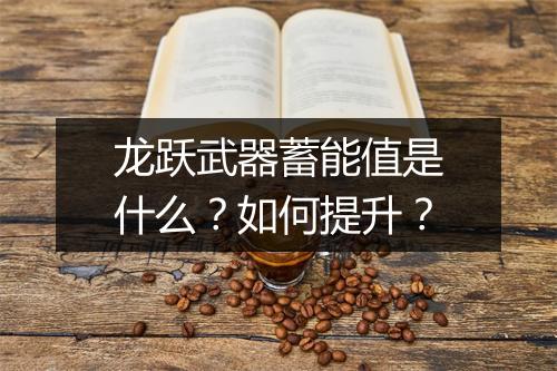 龙跃武器蓄能值是什么？如何提升？