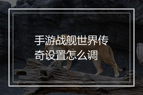 手游战舰世界传奇设置怎么调