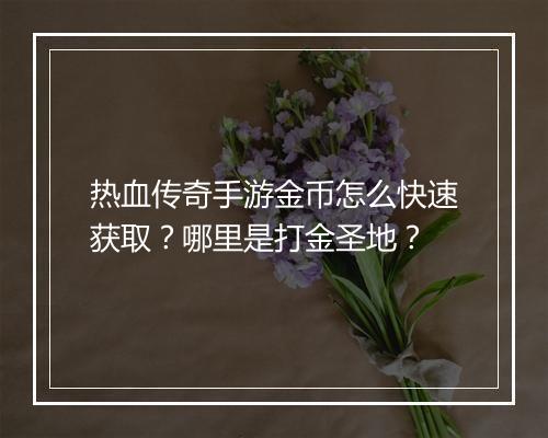 热血传奇手游金币怎么快速获取？哪里是打金圣地？