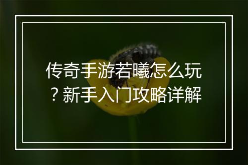 传奇手游若曦怎么玩？新手入门攻略详解