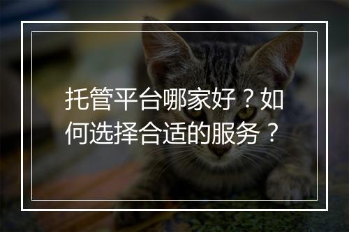 托管平台哪家好？如何选择合适的服务？